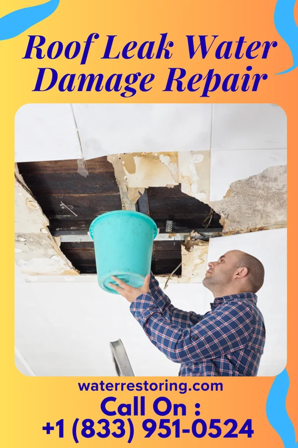 Roof Leak Water Damage Repair in Yorktown, TX