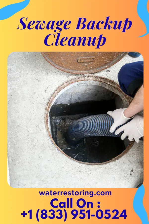 Sewage Backup Cleanup in Yorktown, TX